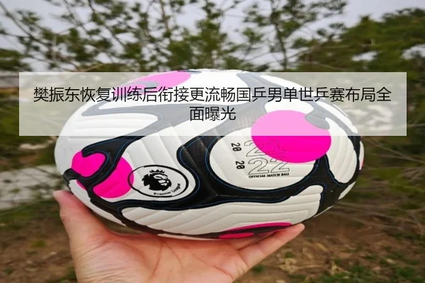 樊振东恢复训练后衔接更流畅国乒男单世乒赛布局全面曝光